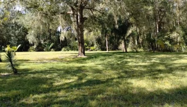 A grassy outdoor area with scattered trees providing shade, surrounded by dense greenery and forested background.