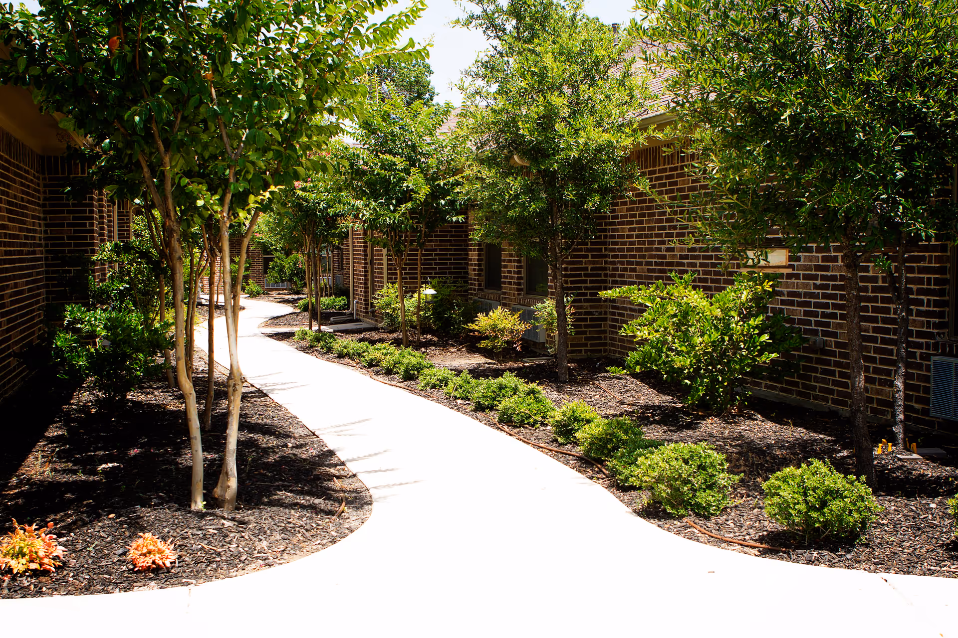 A bright outdoor walkway lined with small trees and shrubs on both sides, bordered by brick buildings under a sunny sky.