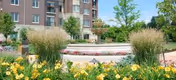 Landscaped courtyard with a circular fountain, yellow flowers and ornamental grasses in front of a multi-story brick building.