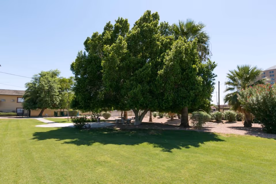 A grassy outdoor courtyard with large shaded trees, a walkway and bench near surrounding shrubs and a building in the background.