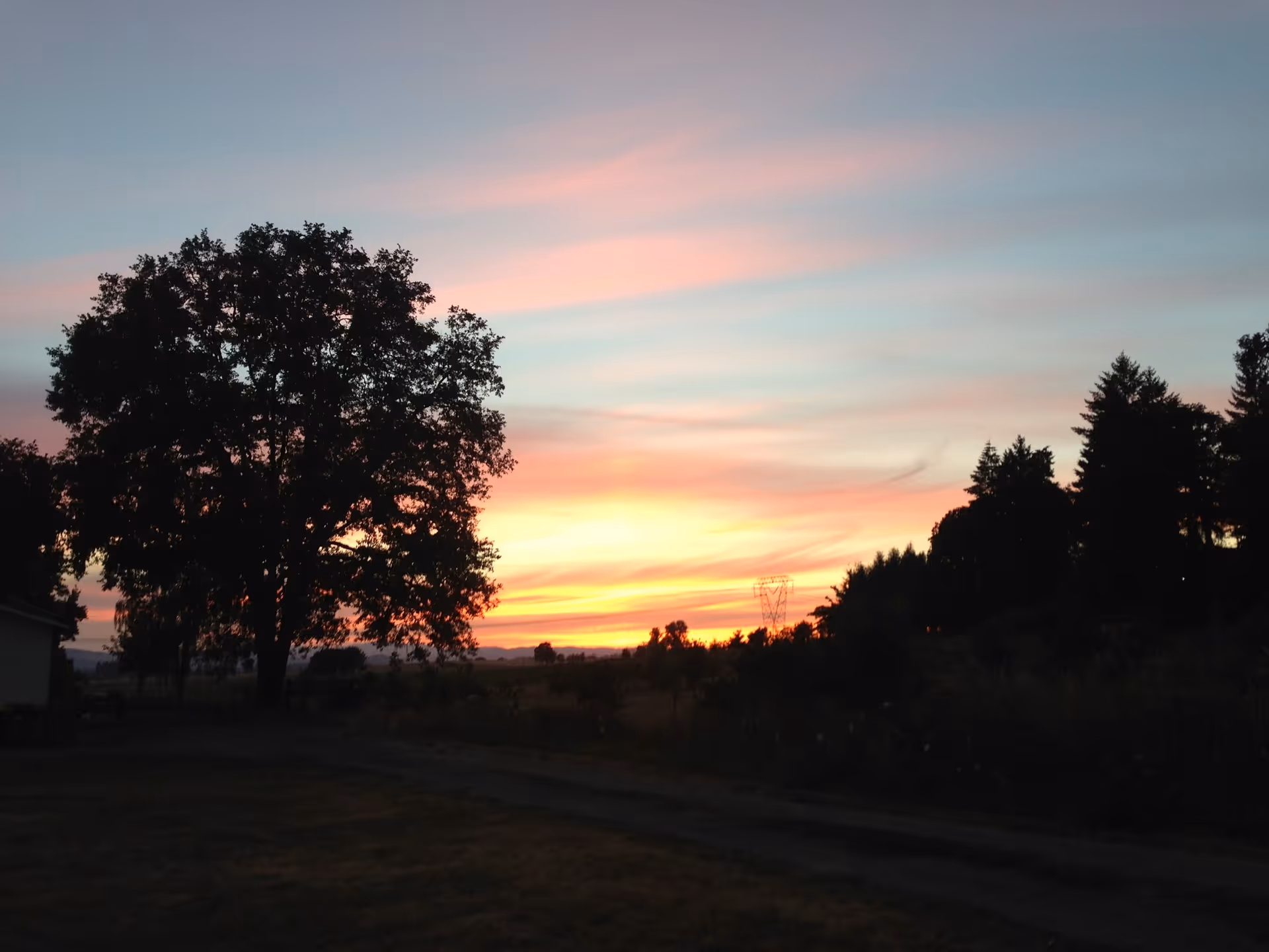 Colorful sunset sky with pink and orange hues and silhouetted trees over a rural landscape.