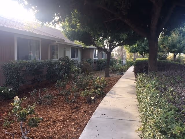 A paved walkway lined with bushes and trees on both sides, leading past single-story residential buildings with windows. The area is landscaped with mulch and plants under the trees, creating a peaceful outdoor environment.