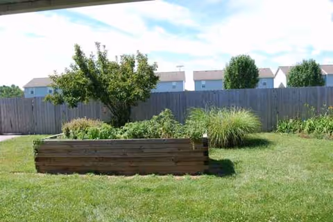 Grassy backyard with a wooden raised garden bed, trees, and a fence.