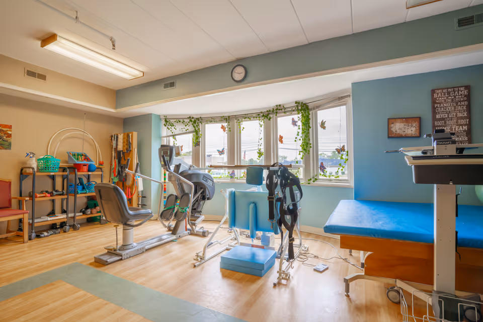 A bright physical therapy room with exercise machines, a treatment table, shelves of therapy supplies, and a window decorated with hanging vines.