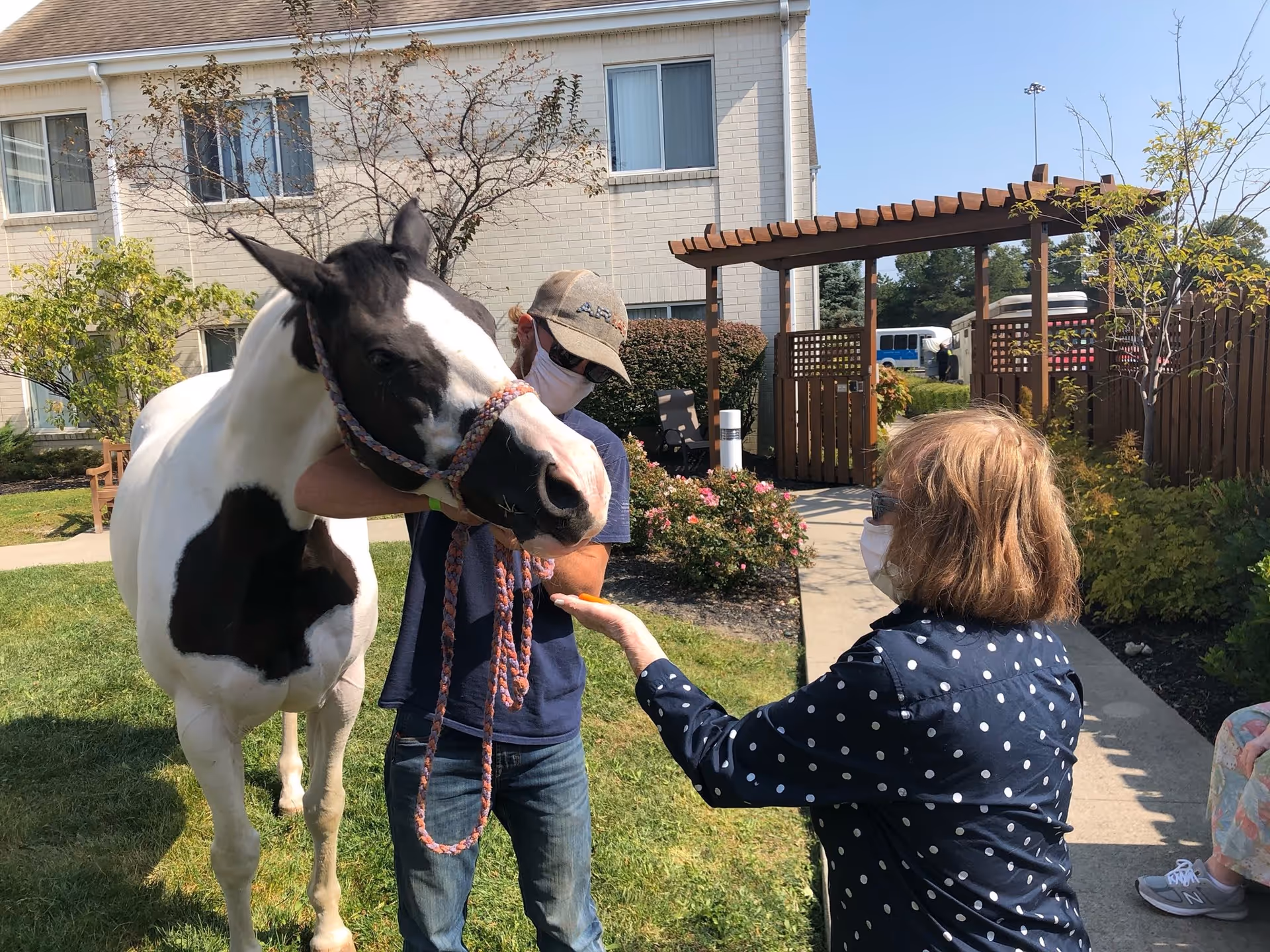 A masked woman reaches out to feed a black-and-white horse held by a man in an outdoor courtyard beside a multi-story building and wooden pergola.