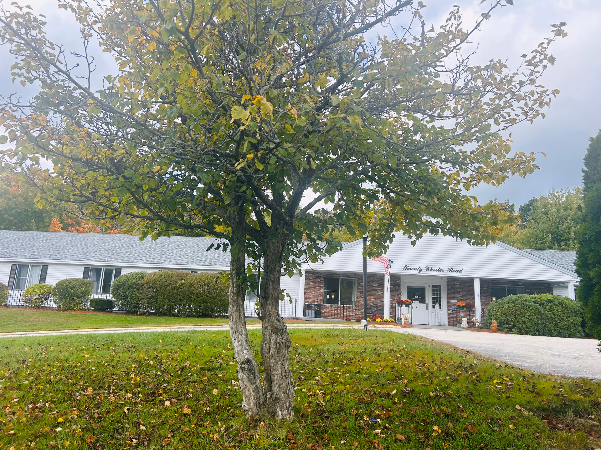 Single-story nursing facility front entrance with an American flag, a tree and a grassy lawn in the foreground.