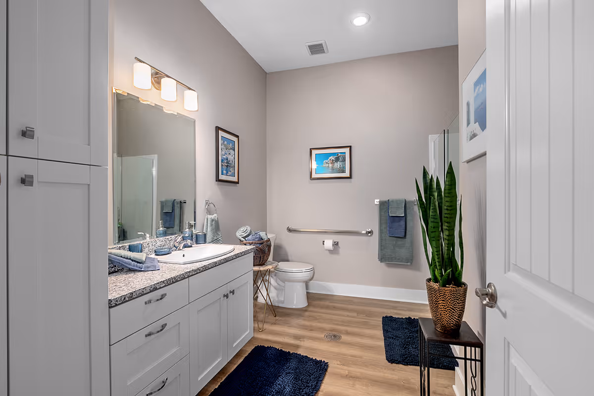 A modern bathroom with light gray walls and wood flooring. It features a white vanity with a granite countertop, a large mirror with three light fixtures above it, and a white toilet with a grab bar on the wall beside it. There are two framed pictures on the walls, a tall green plant in a woven basket on a small table, and two dark blue rugs on the floor.