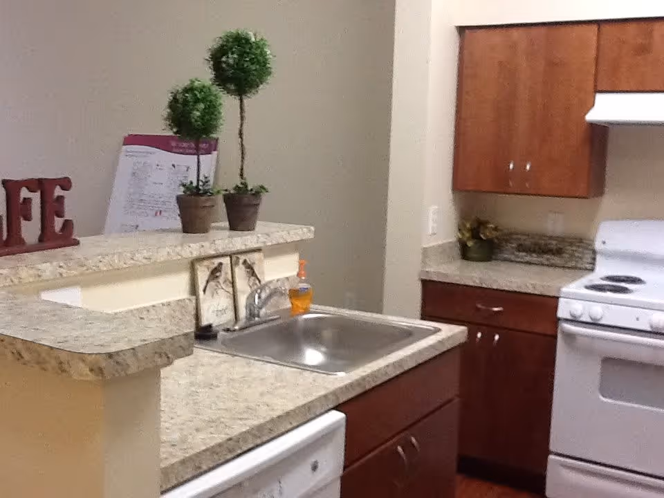 A kitchen area with granite countertops, a stainless steel sink, wooden cabinets, a white stove with an oven, and a dishwasher. On the counter, there are two small potted plants, a soap dispenser, and decorative bird-themed plaques. The walls are light-colored, and the overall setting is clean and organized.