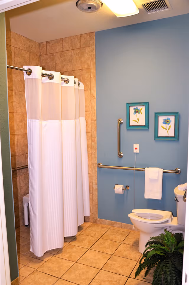 Accessible bathroom with a tiled shower behind a white curtain, grab bars, a toilet, and a blue wall with framed floral prints.