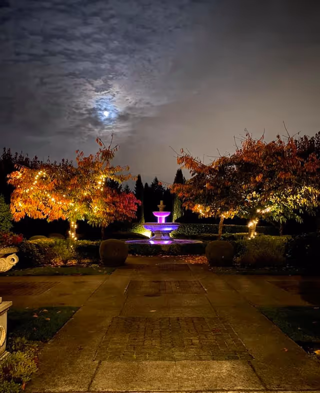 Nighttime landscaped courtyard featuring trees wrapped in fairy lights and a purple-lit fountain under a cloudy moon.
