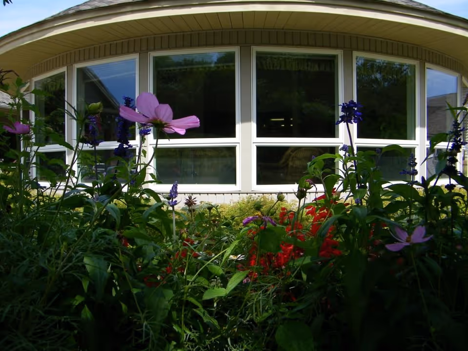 A close-up view of colorful flowers and green plants in a garden bed in front of a building with large white-framed windows reflecting the surrounding greenery.