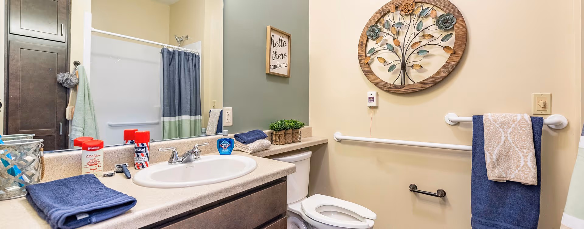 A clean and well-lit bathroom featuring a sink with a countertop holding various toiletries, a mirror above the sink, a toilet with a decorative plant on the tank, a shower with a curtain, and towels hanging on grab bars. The walls are painted in light colors with a decorative round wall art and a small framed sign that says 'hello there handsome'.