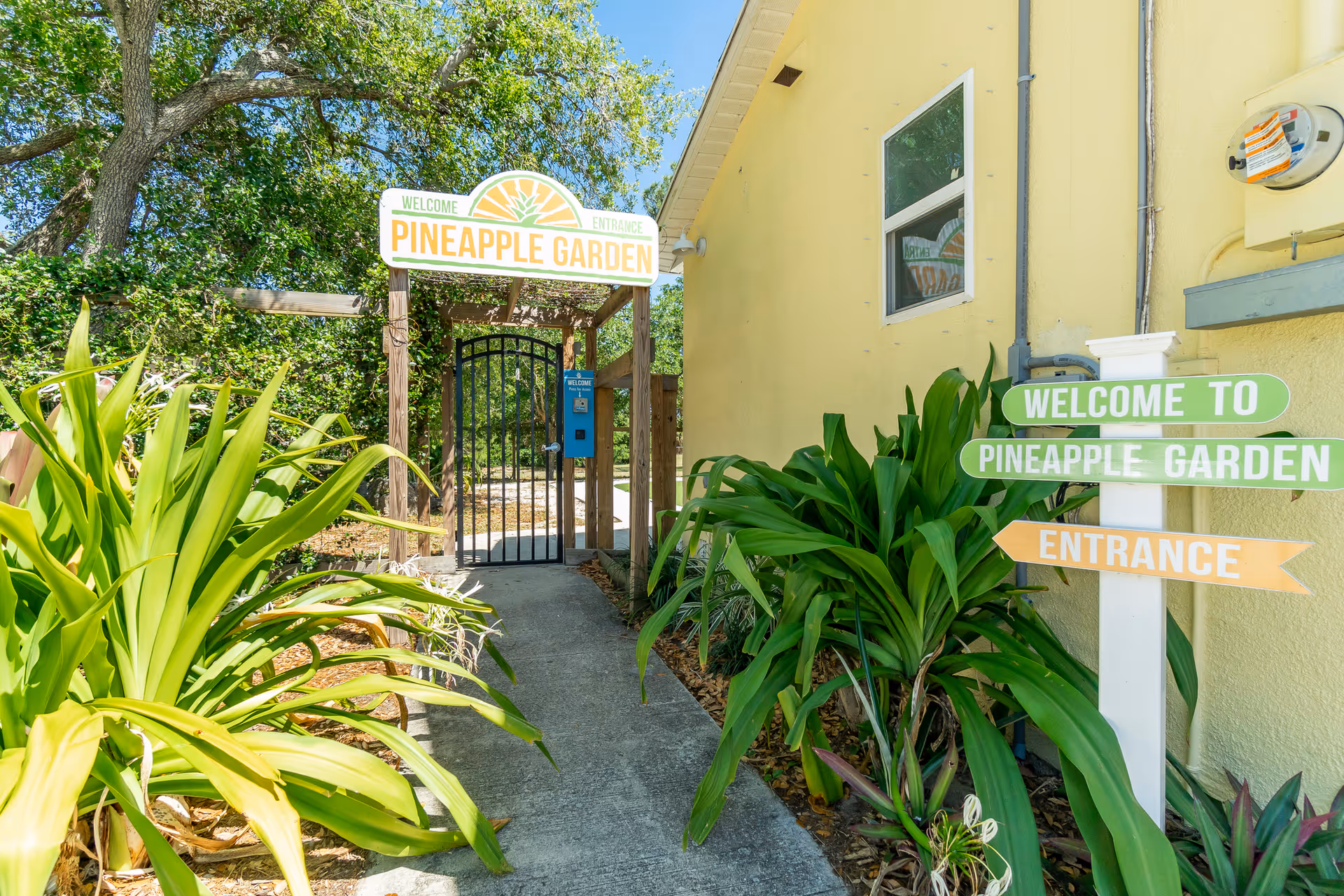 Entrance pathway to Pineapple Garden Assisted Living with a black metal gate under a wooden archway. There are green plants on both sides of the concrete path, a yellow building wall on the right, and signs that say 'Welcome to Pineapple Garden' and 'Entrance'.