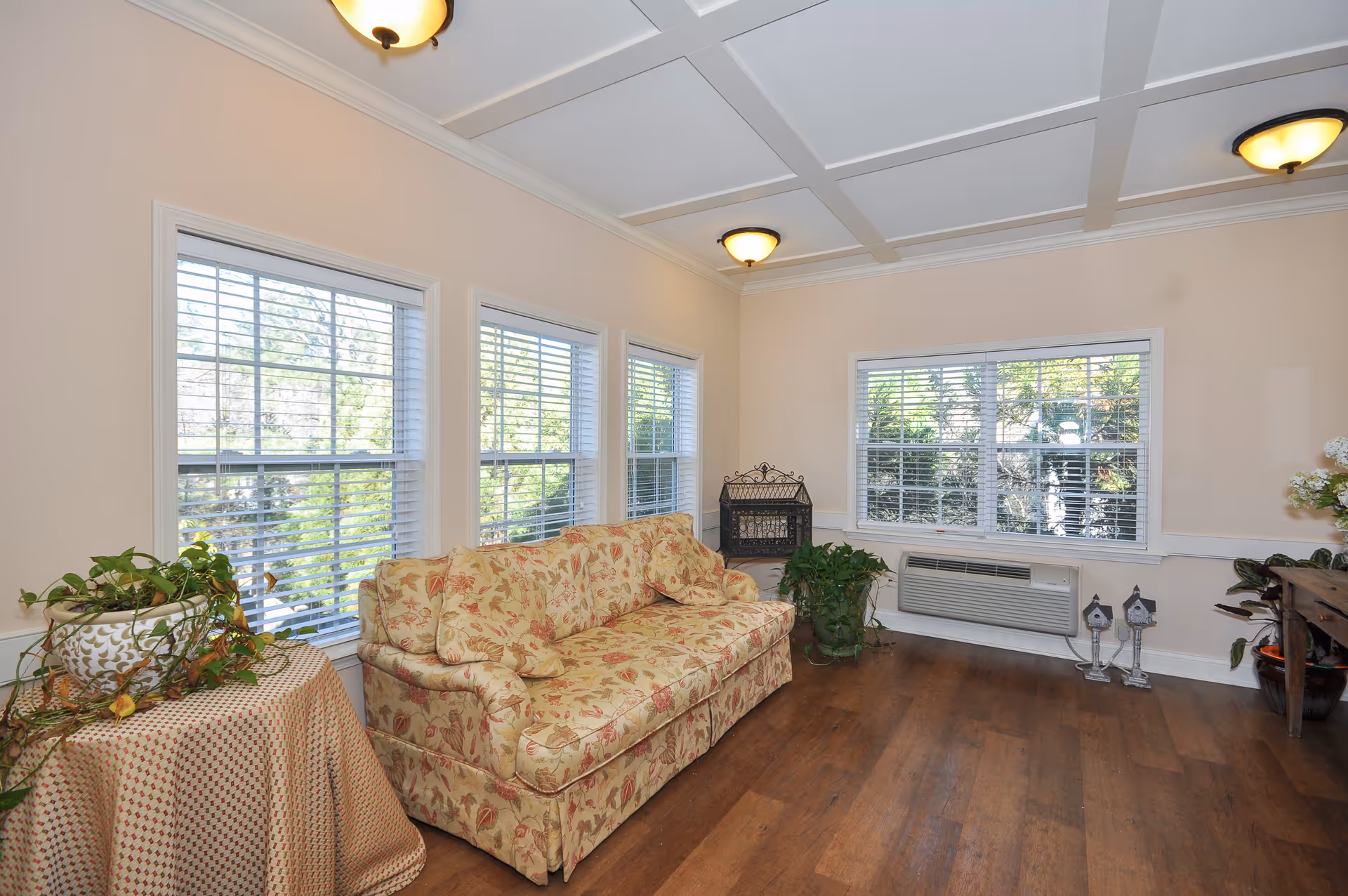 Sunlit living room with a floral sofa, multiple windows with blinds, potted plants, and wood flooring.