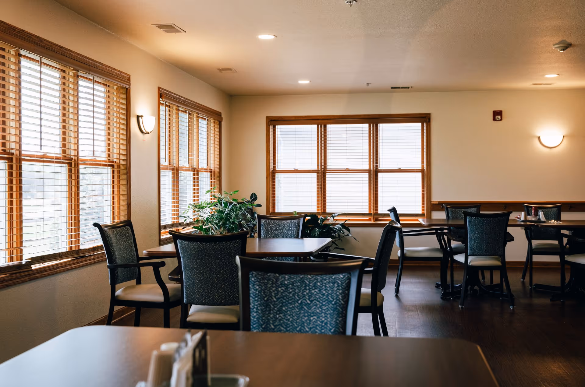 Empty communal dining room with tables, chairs, potted plants, and large windows with wooden blinds.