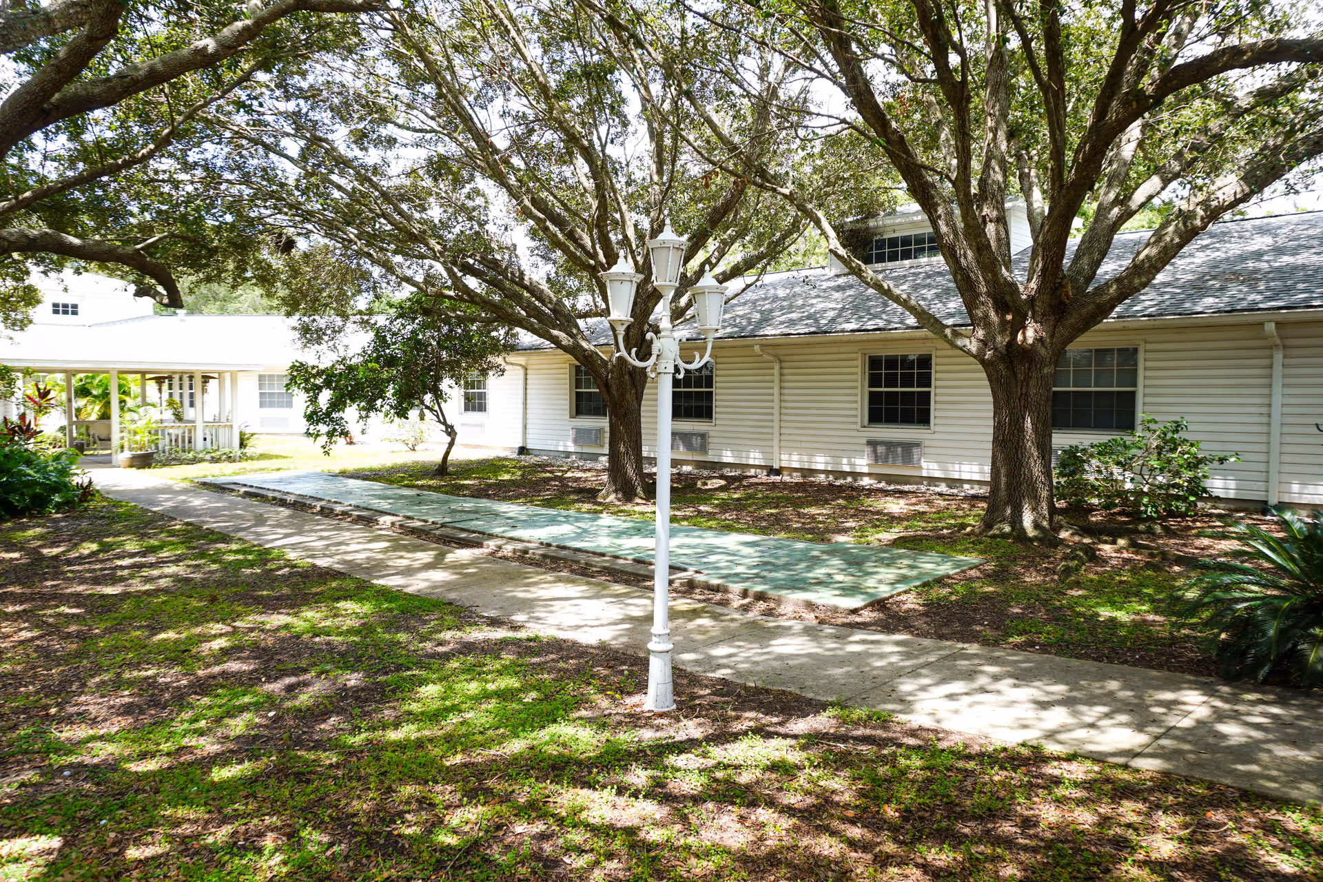 Outdoor view of a senior living facility courtyard with large trees providing shade over a paved walkway and a white multi-lamp streetlight. The building has white siding and multiple windows with air conditioning units beneath them. There is greenery and plants around the area.