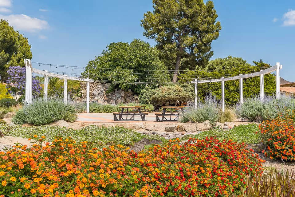 Outdoor garden area with colorful flowers in the foreground, green bushes, and trees in the background. There are picnic tables under a white pergola structure with string lights hanging above. The sky is clear and blue.