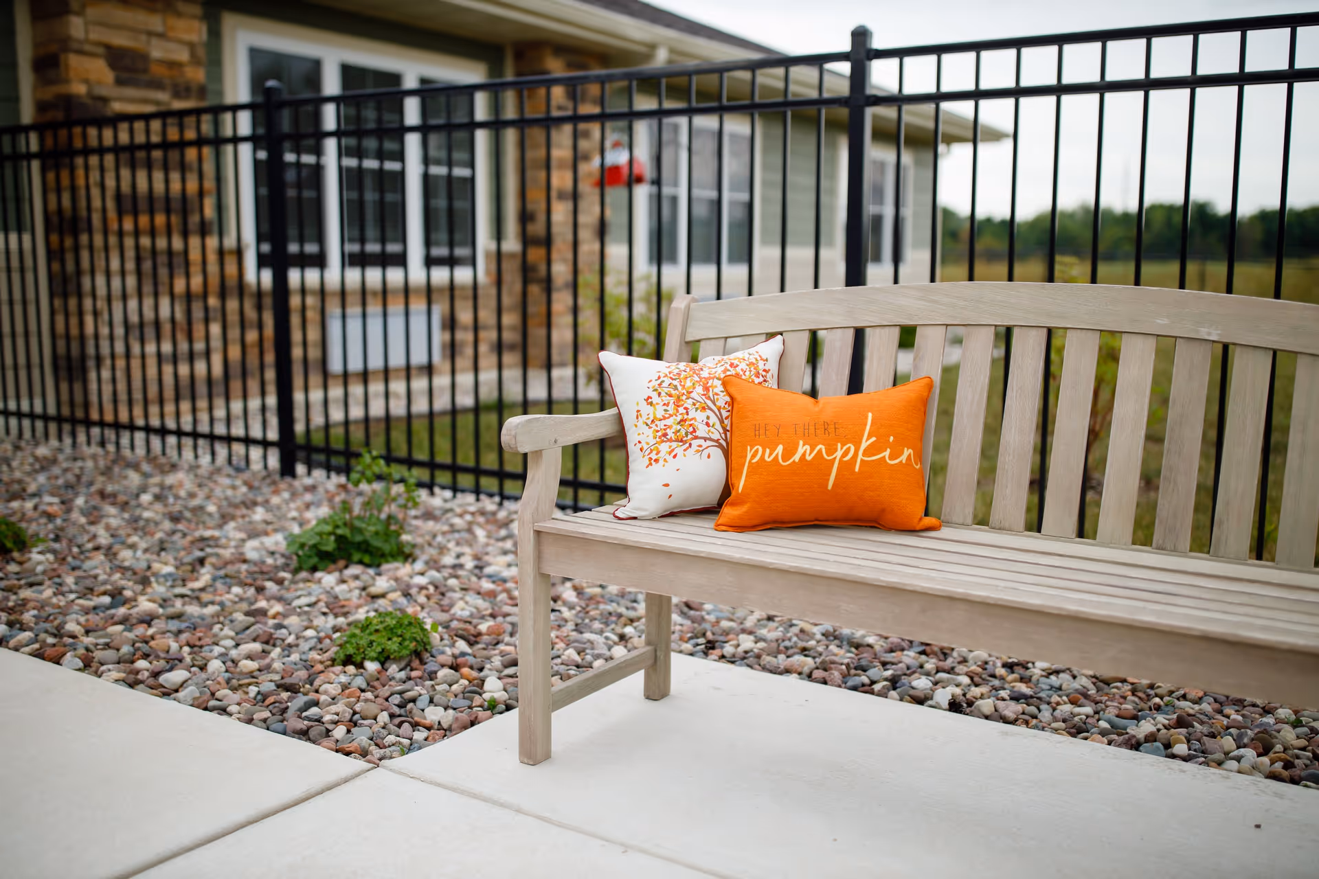A wooden bench with two decorative pillows, one white with an autumn tree design and the other orange with the text 'Hey there pumpkin', placed on a concrete patio next to a rock garden with small plants. Behind the bench is a black metal fence and a building with stone and siding exterior.