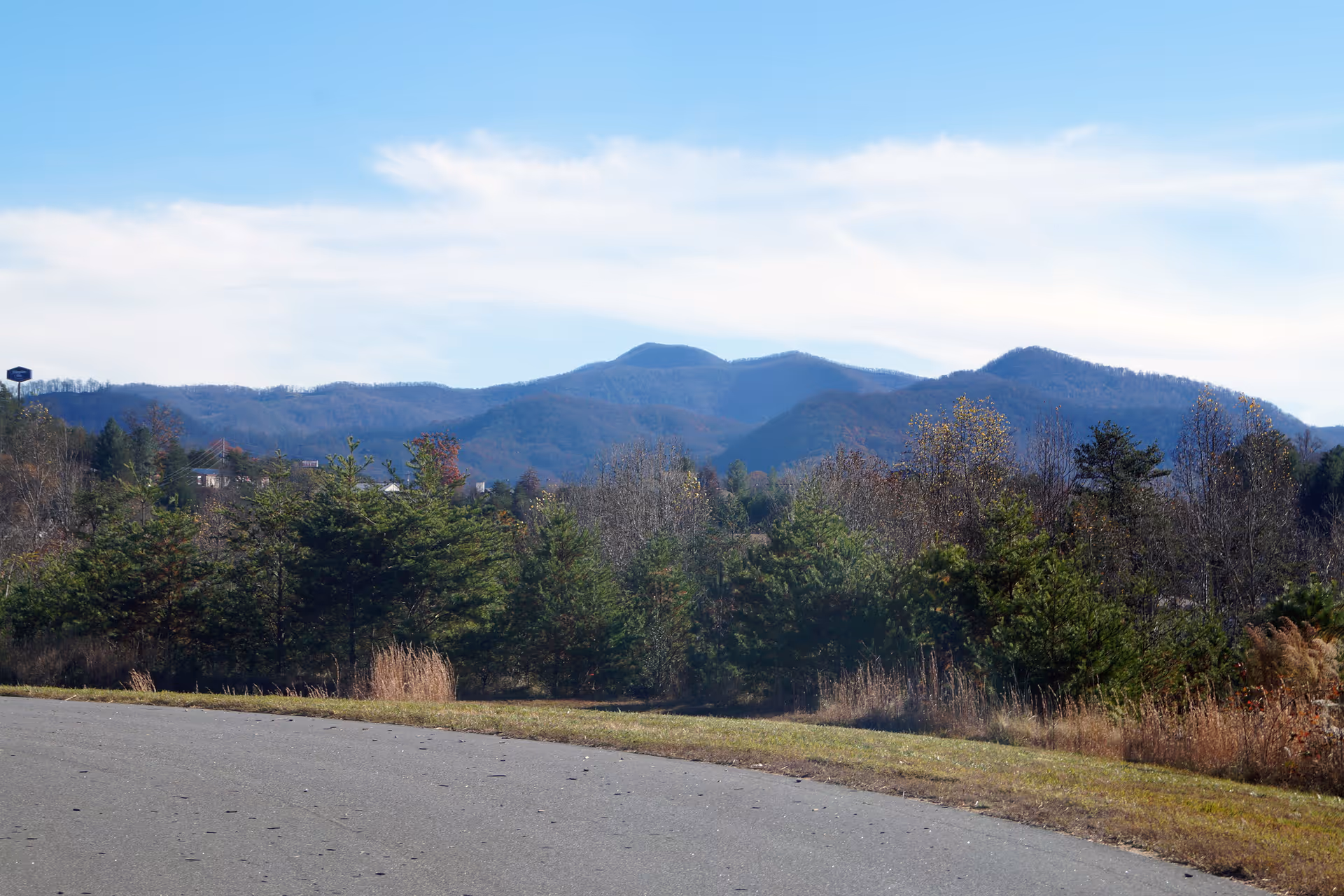 Roadside view of trees and grassy verge with mountains in the background under a blue sky.