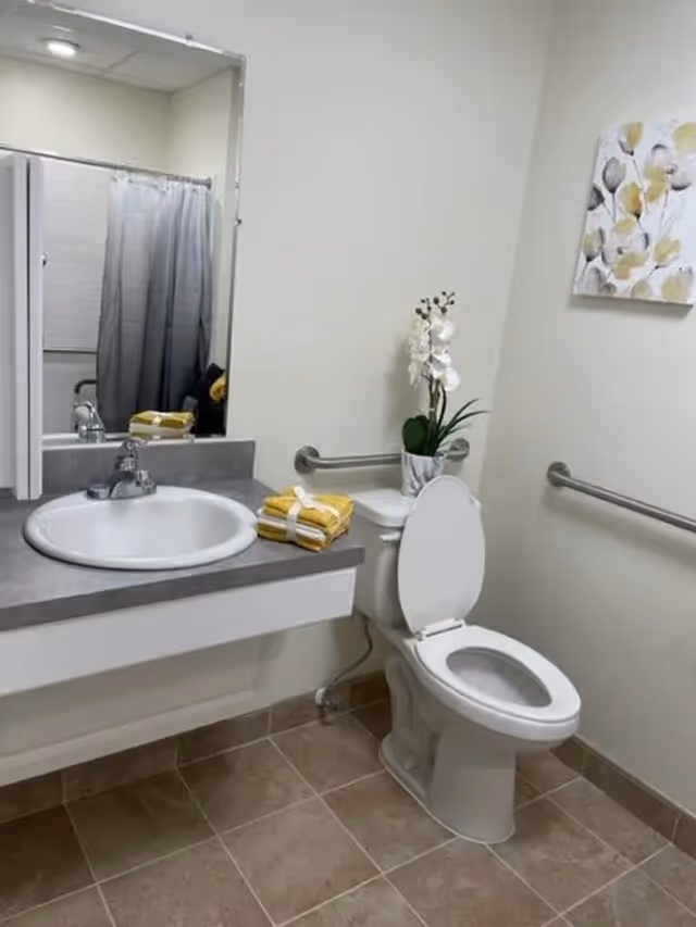 A clean and accessible bathroom with a white toilet, grab bars on the walls, a sink with a gray countertop, a mirror above the sink, folded yellow and white towels on the counter, a potted white orchid on the toilet tank, and a floral painting on the wall.