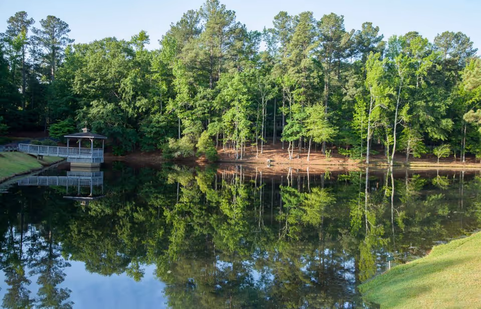 A serene outdoor scene featuring a calm pond reflecting a dense cluster of green trees and a small wooden gazebo connected by a walkway on the left side, with a grassy bank on the right.