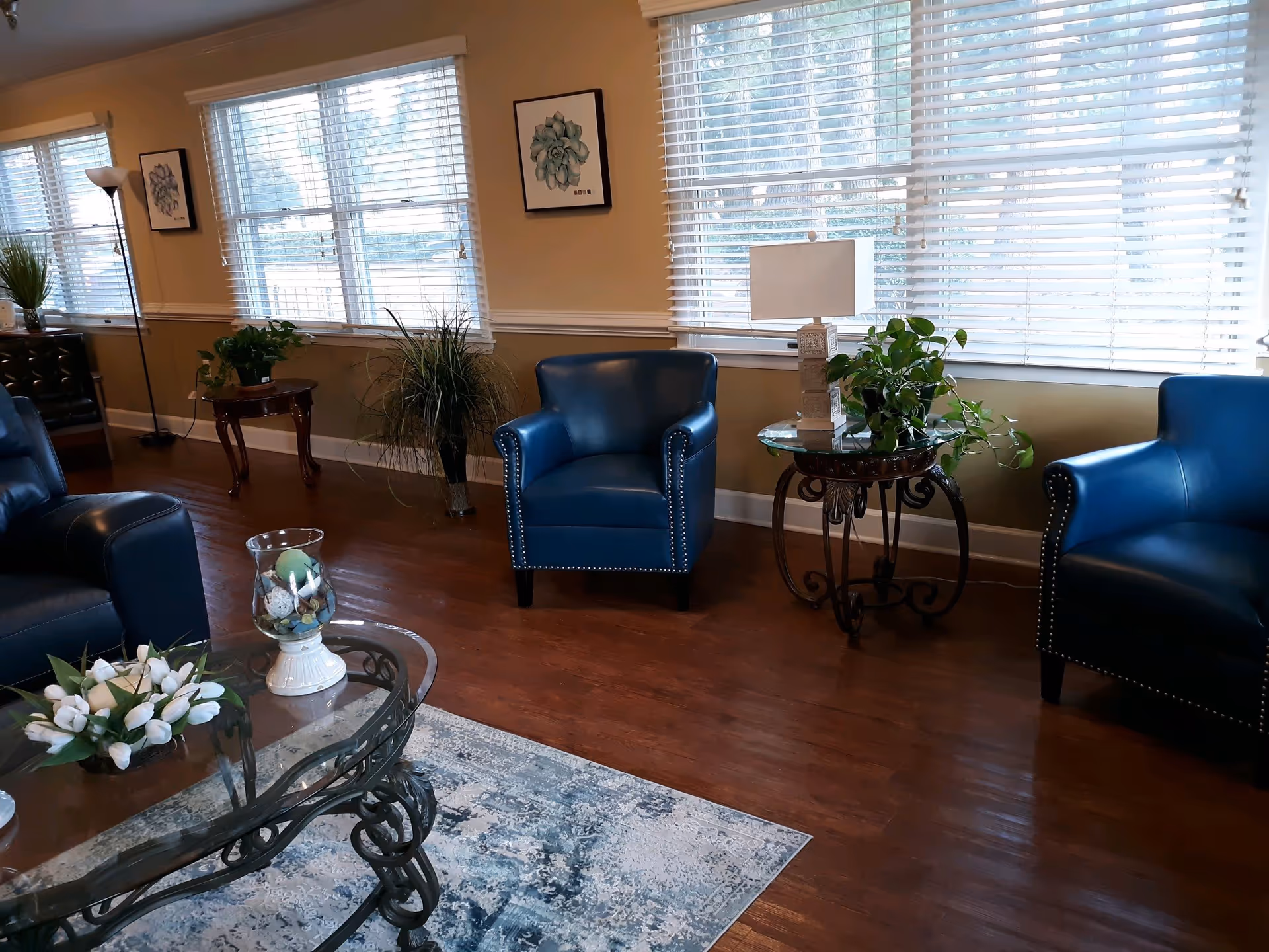 A well-lit living room with large windows covered by white blinds. The room features two blue leather armchairs with nailhead trim, a glass-top coffee table with decorative items and flowers, a side table with a lamp and a potted plant, and additional plants and framed artwork on the walls. The floor is wooden with a patterned area rug.