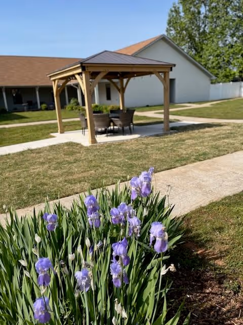 Outdoor area with a wooden gazebo sheltering a round table and four chairs, situated on a concrete path. In the foreground, there are blooming purple irises with green leaves. In the background, there is a white building with a brown roof and a white fence, under a clear blue sky.