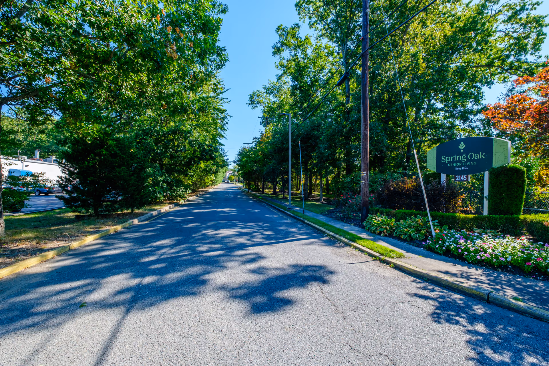 A paved road lined with tall green trees on both sides under a clear blue sky. On the right side, there is a landscaped area with flowers and a sign that reads 'Spring Oak Senior Living Toms River 2145'.