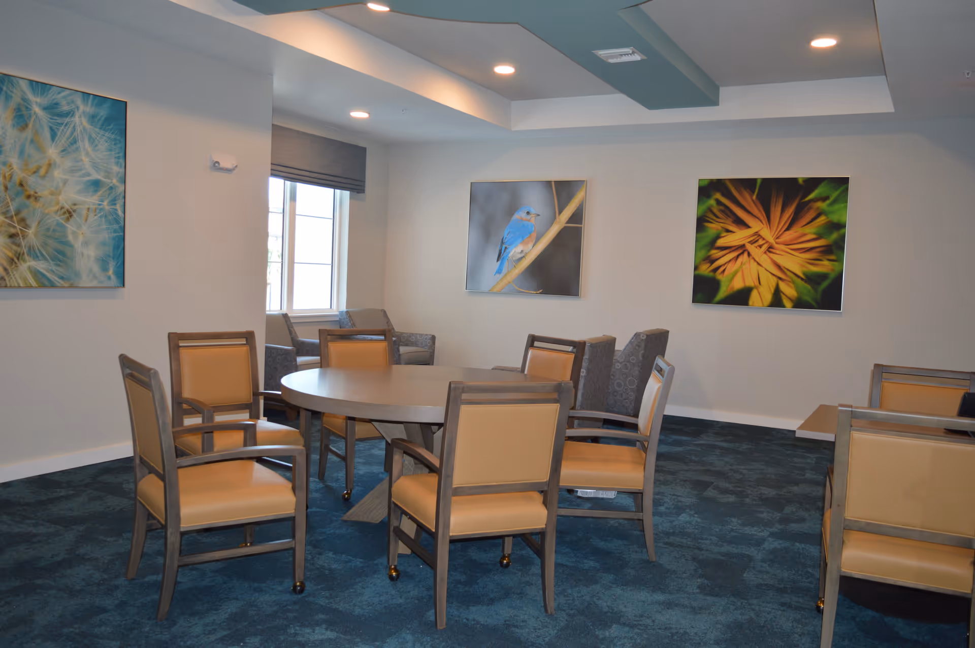 A room with a round wooden table surrounded by six beige cushioned chairs with wooden frames. The room has blue carpet flooring and light-colored walls decorated with three framed pictures: a close-up of a dandelion, a blue bird on a branch, and a yellow flower. There are two armchairs near a window with a gray shade, and the ceiling has recessed lighting and a tray design.