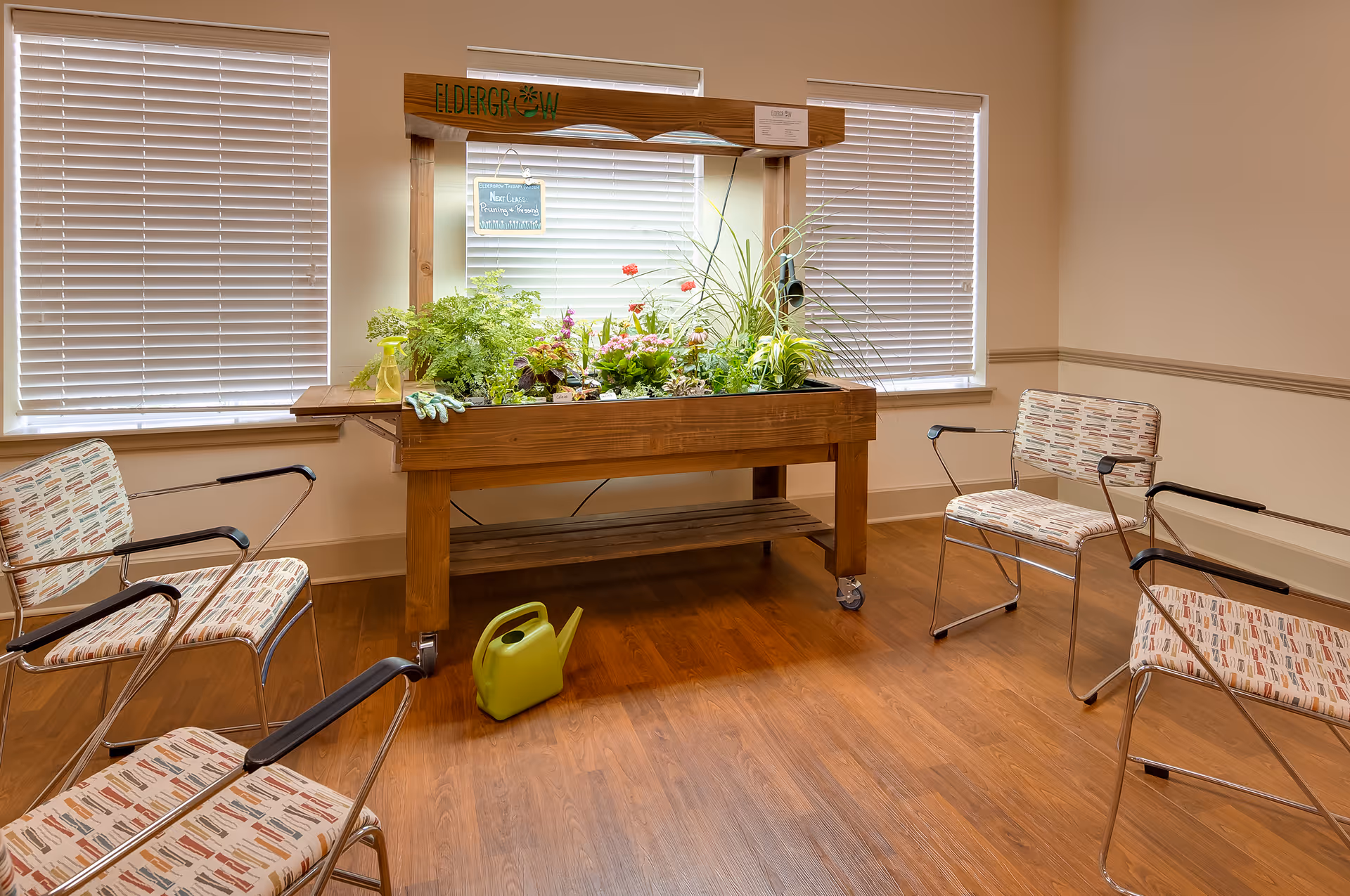 A small indoor gardening area with a wooden planter labeled 'Eldergrow' filled with various green plants and flowers. The planter is positioned in front of three windows with closed blinds. Four patterned chairs with metal frames are arranged around the planter on a wooden floor. A green watering can is placed on the floor near the planter.