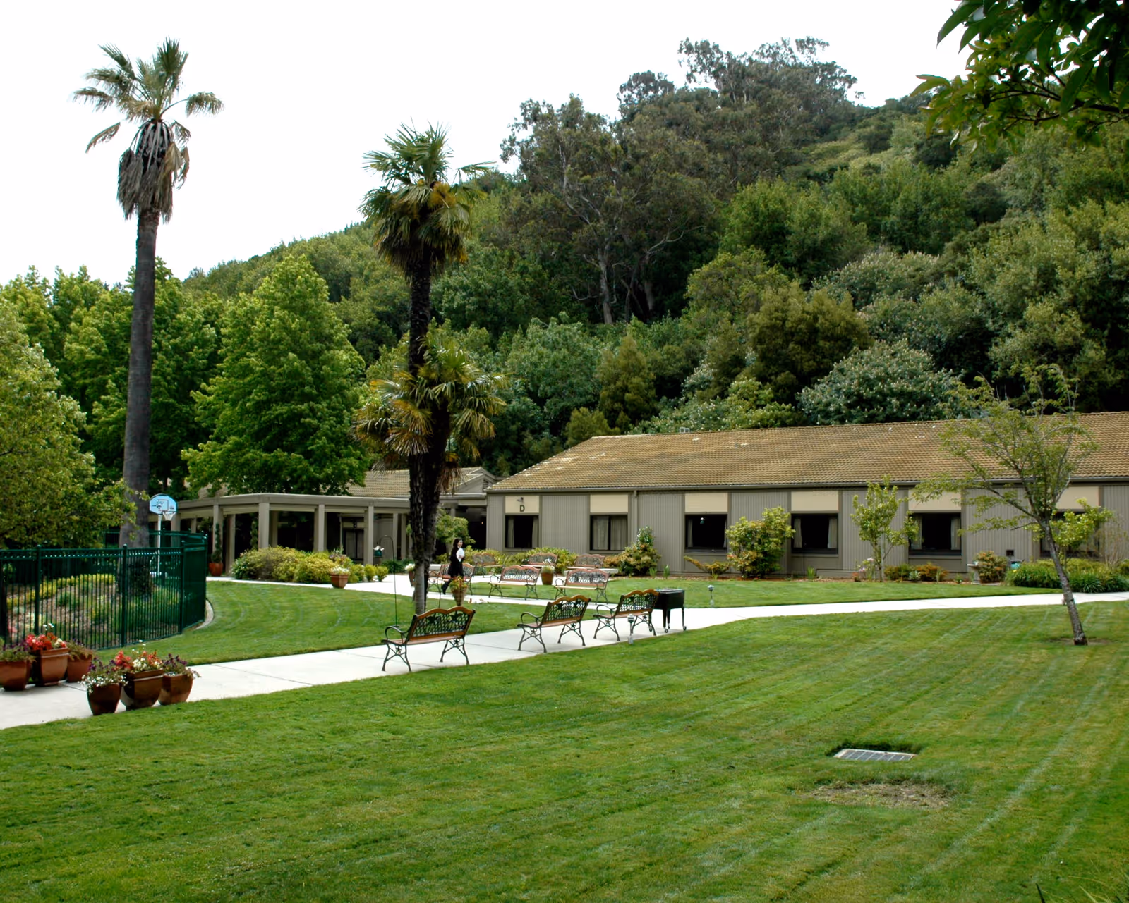 Outdoor view of Silverado Belmont Hills Memory Care Community showing a well-maintained lawn with several benches along a paved walkway, palm trees, potted plants, and a single-story building in the background surrounded by dense green trees and hills.