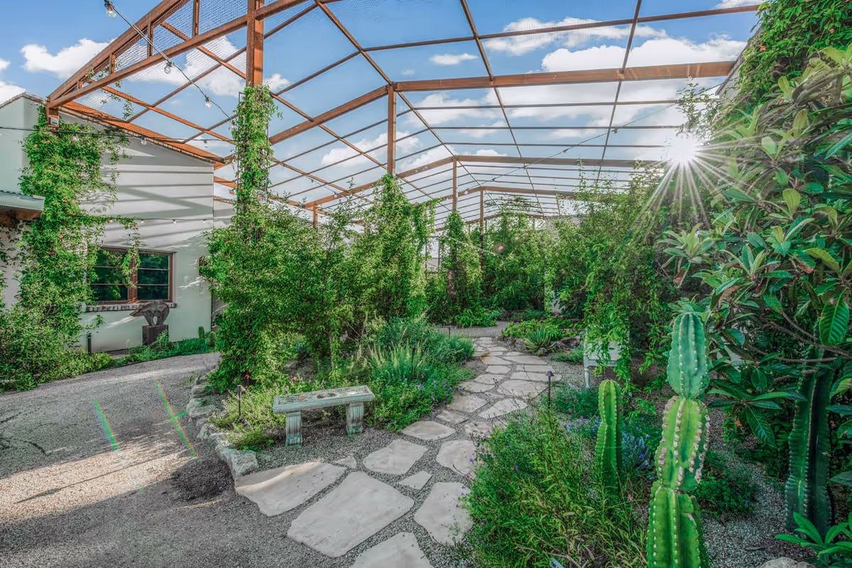 A lush garden area with a stone pathway winding through various green plants and cacti under a large wooden frame with a mesh roof. The sun is shining brightly through the foliage, and a small bench is placed along the path. A building with windows is visible on the left side.