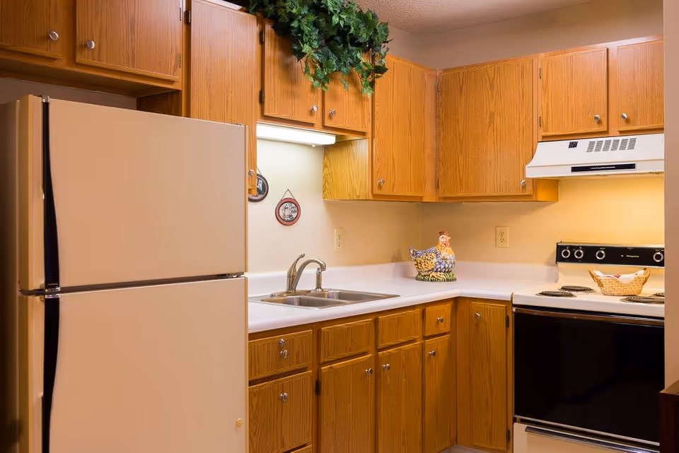 A kitchen with wooden cabinets, a white refrigerator, a double sink, an electric stove with a range hood, and decorative items including a ceramic chicken and a basket on the countertop. There is a green leafy plant on top of the cabinets.