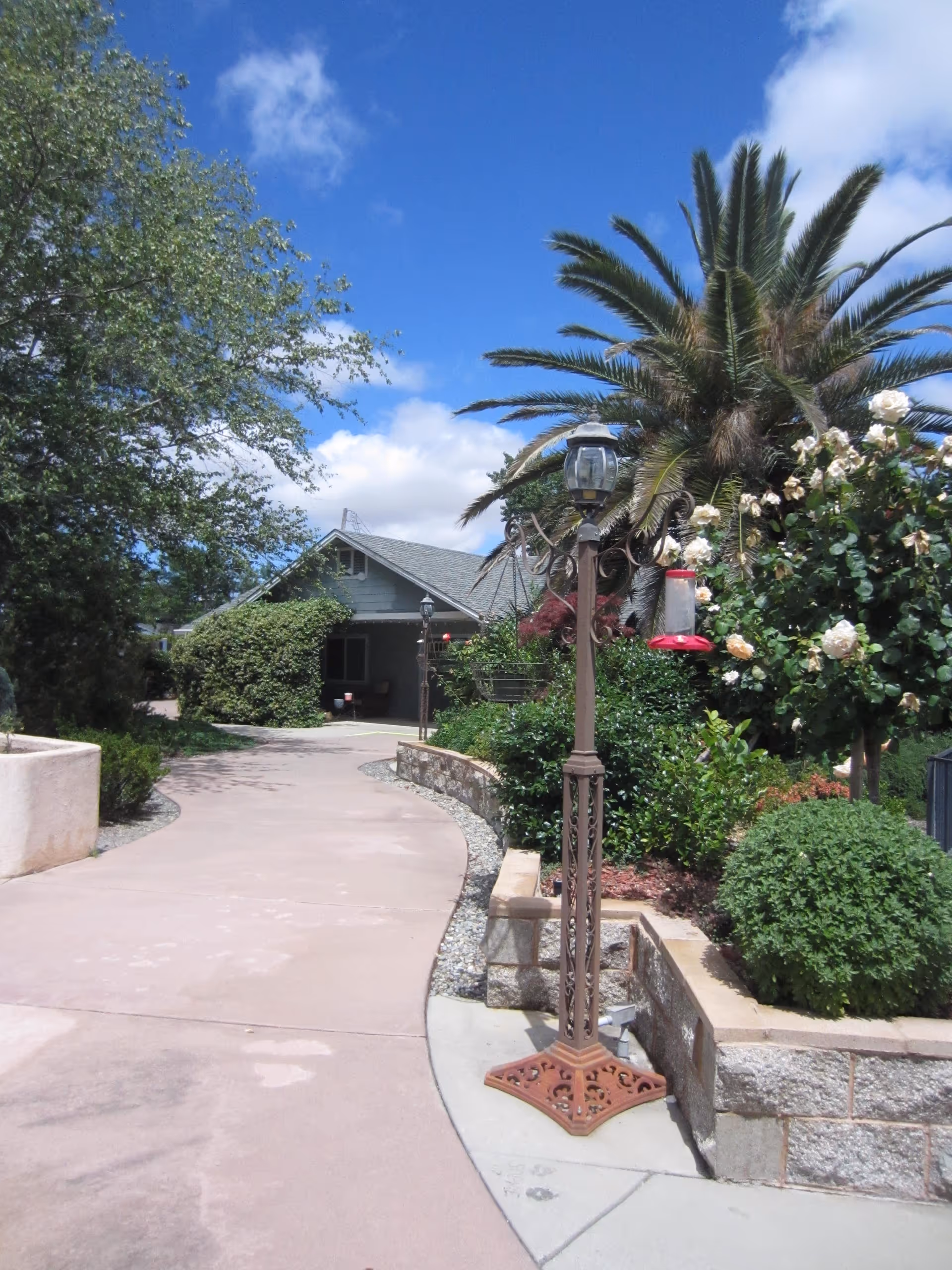 A curved paved walkway leading to a building entrance surrounded by lush greenery, including palm trees, bushes, and flowering plants under a partly cloudy blue sky.