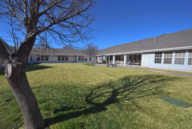 A grassy courtyard area surrounded by single-story buildings with multiple windows under a clear blue sky. A leafless tree casts a shadow on the grass in the foreground.