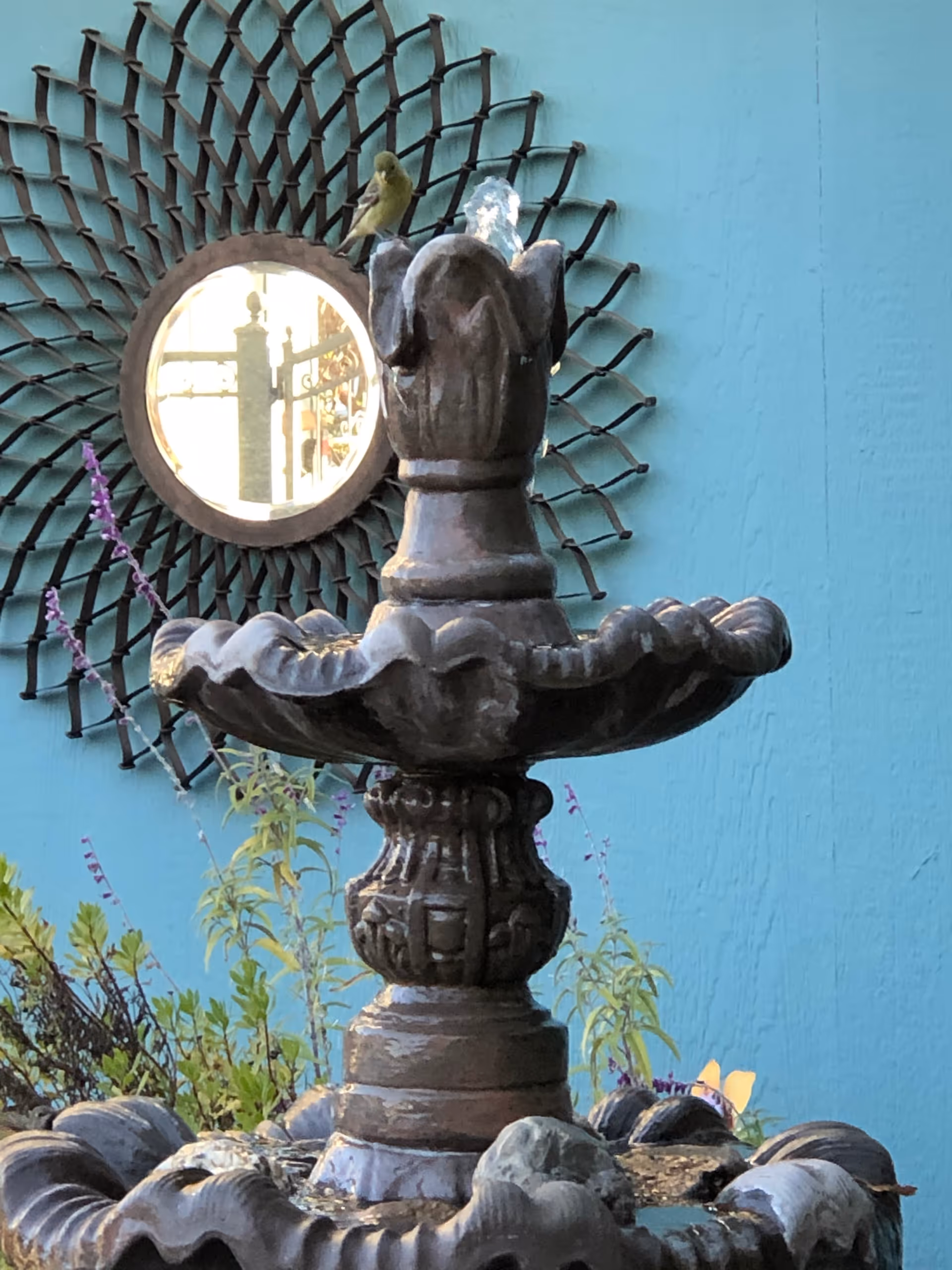 A decorative outdoor water fountain with intricate designs, surrounded by plants and flowers, set against a turquoise wall with a round mirror featuring a woven frame. A small bird is perched on the top of the fountain.
