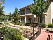 Outdoor view of a senior living facility with a paved walkway, landscaped garden with shrubs and trees, and a two-story building with balconies.