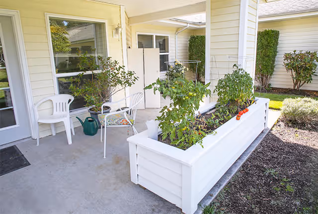 Outdoor patio area with a white raised garden bed containing tomato plants, two white chairs, a small glass-top table, a green watering can, and beige siding walls of the building in the background.