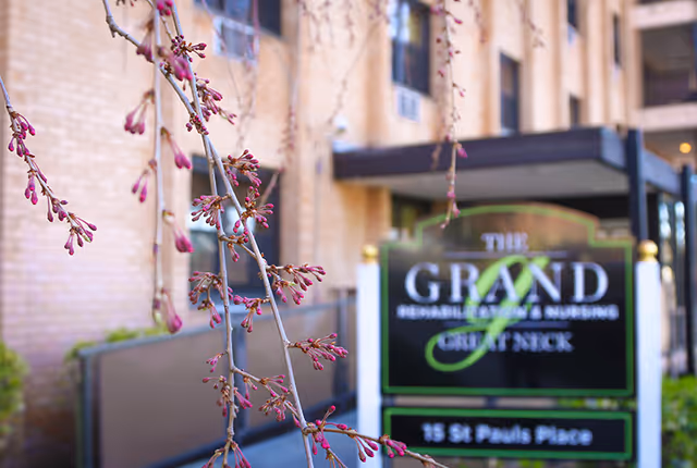 Close-up of tree branches with pink buds in front of a blurred sign for The Grand Rehabilitation and Nursing at Great Neck, located at 15 St Pauls Place, with a brick building in the background.