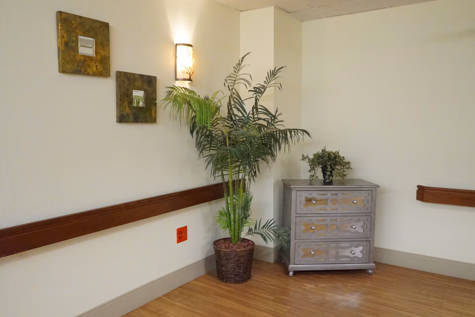 Corner of an interior room with light-colored walls, a wooden floor, a potted green plant, a small decorative chest of drawers with a small plant on top, two square wall mirrors, and a wall-mounted light fixture.