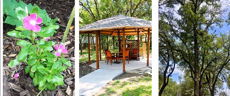 Outdoor serene setting with pink flowers, a wooden gazebo, and tall shady trees.