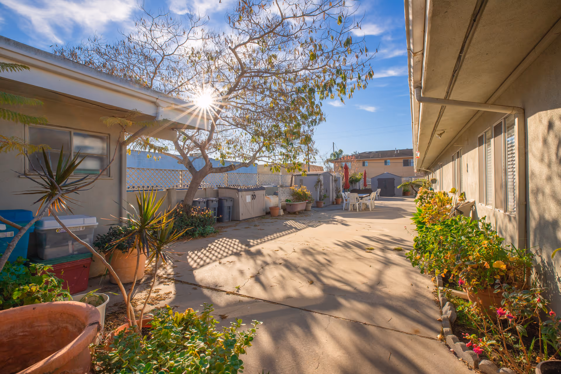 Sunlit outdoor courtyard between single-story buildings with potted plants, a tree casting shadows, and patio furniture in the distance.
