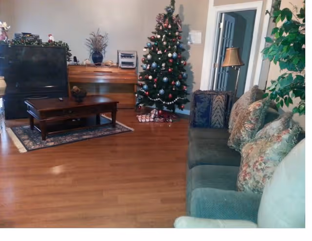 A cozy living room with a green couch adorned with floral pillows on the right, a wooden coffee table on a small rug in the center, a piano against the back wall, and a decorated Christmas tree with ornaments and lights near the piano. There is also a floor lamp and a leafy green plant in the corner.