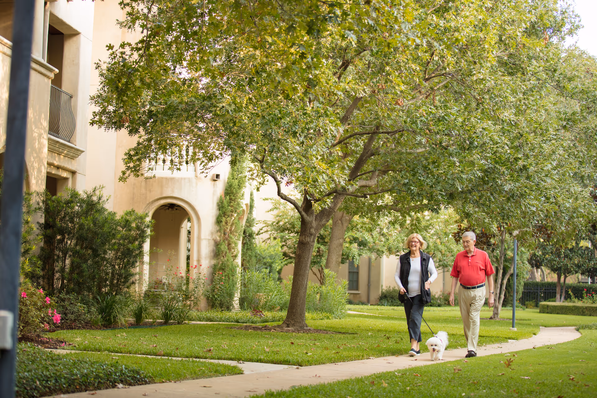 An elderly couple walking a small white dog on a leash along a paved pathway surrounded by green grass and trees, with a beige building in the background.