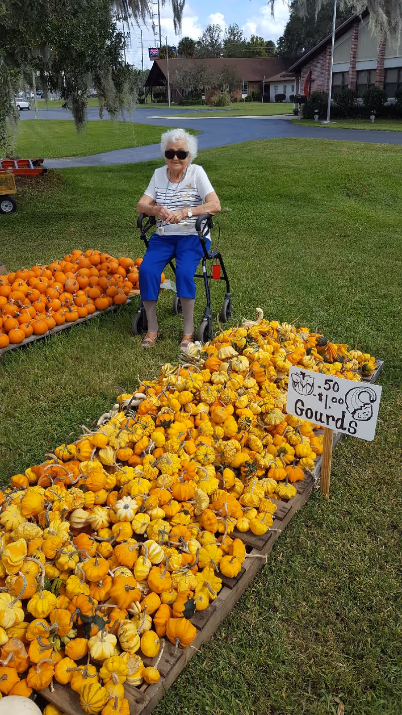 An elderly woman wearing sunglasses and blue pants sits on a walker in a grassy outdoor area near two large displays of small orange pumpkins and gourds. A sign next to the gourds indicates prices of 50 cents and 1 dollar. Buildings and trees are visible in the background under a partly cloudy sky.