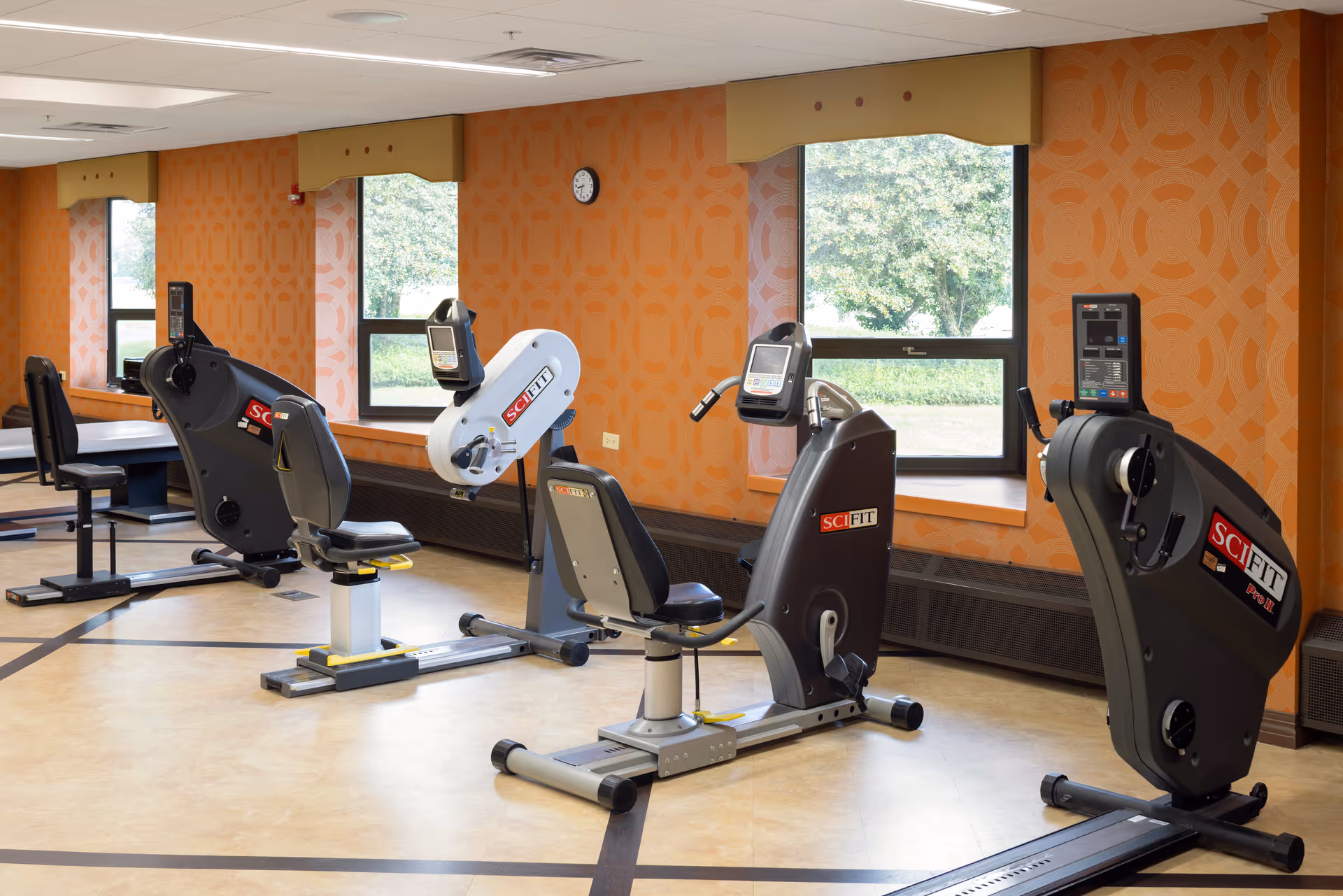 A bright exercise room with several SCIFIT recumbent bikes lined up against orange patterned walls and windows.