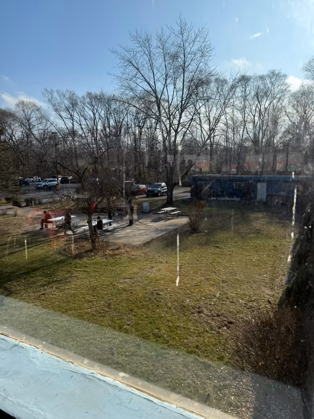 View through a window of a grassy courtyard with picnic tables, leafless trees, and parked cars in the background.
