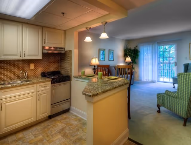 Interior view of a senior living facility apartment at Pines Village showing a small kitchen with cream-colored cabinets, a stainless steel stove, and a granite countertop bar area with two place settings. The kitchen opens into a living room area with carpeted floor, a green upholstered chair, a dining table with chairs, two table lamps, framed artwork on the wall, a potted plant, and a sliding glass door with sheer curtains letting in natural light.