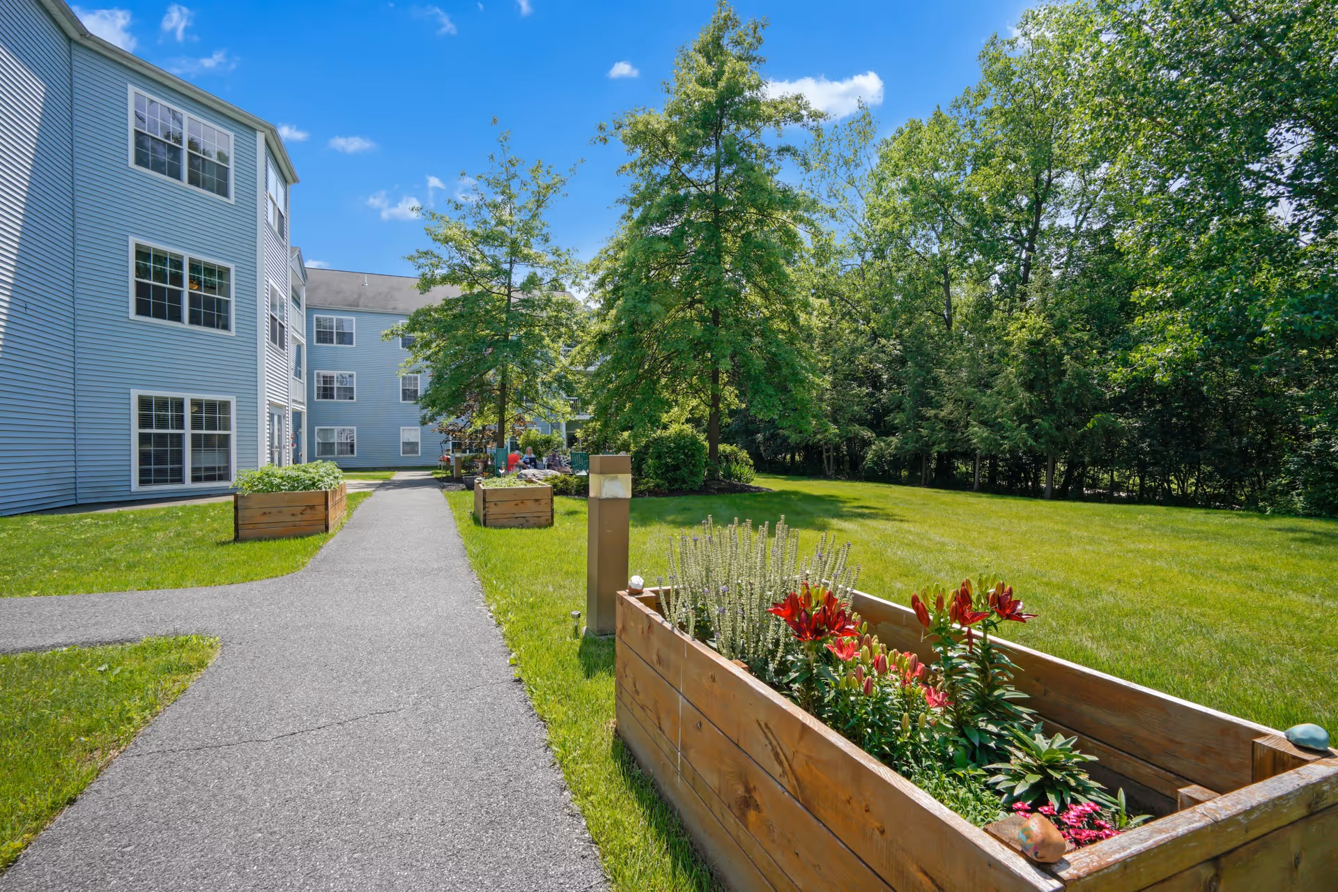Outdoor garden area at Diamond Ridge senior living community with a paved walkway, raised wooden flower beds with blooming red and purple flowers, green grass, and trees under a blue sky with scattered clouds. The light blue building with multiple windows is visible on the left side.