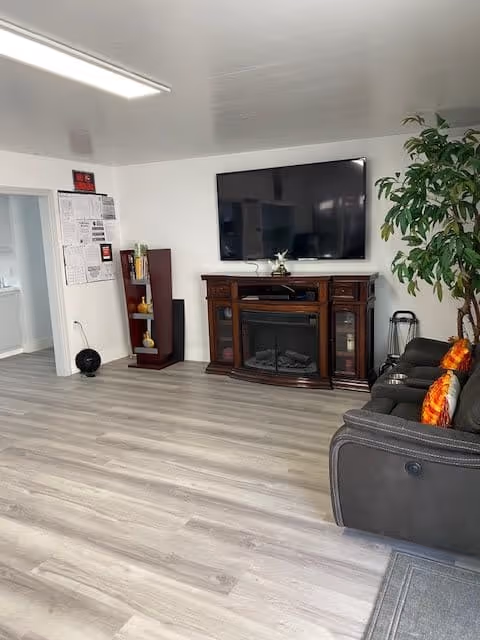 A living room area with light wood flooring, a dark brown electric fireplace with a large flat-screen TV mounted above it, a tall plant on the right side, a dark gray couch with orange and yellow pillows, and a small bookshelf with decorative items near a doorway.